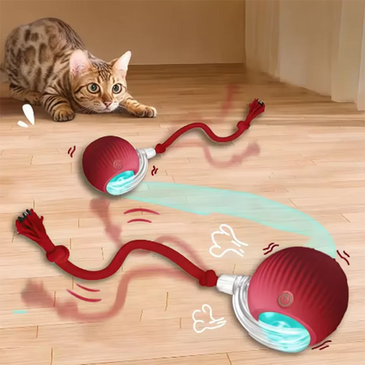 Automatic Interactive Cat Toy – Rolling Ball & Teasing Wand