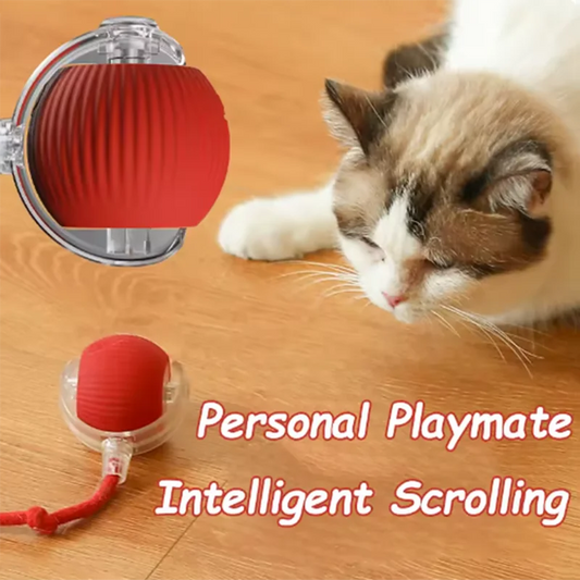 Automatic Interactive Cat Toy – Rolling Ball & Teasing Wand