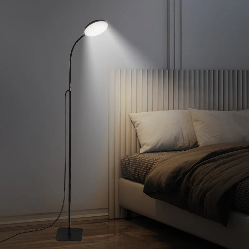 Circular LED Floor Lamp with Adjustable Brightness Levels